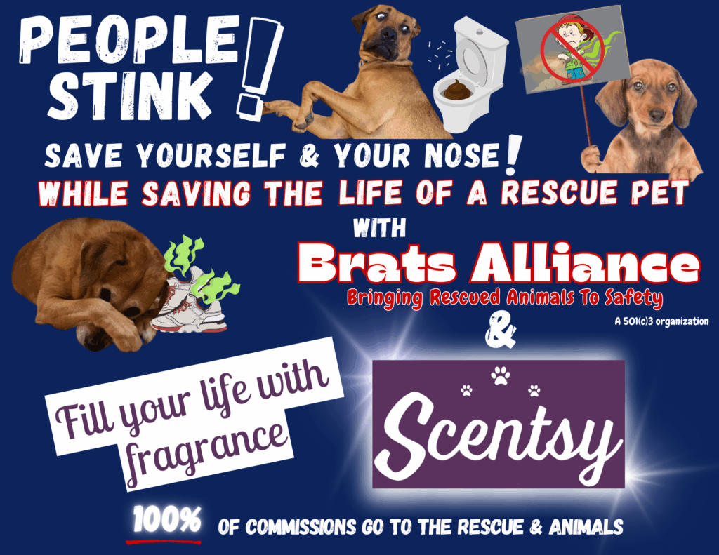 Scentsy 24/7